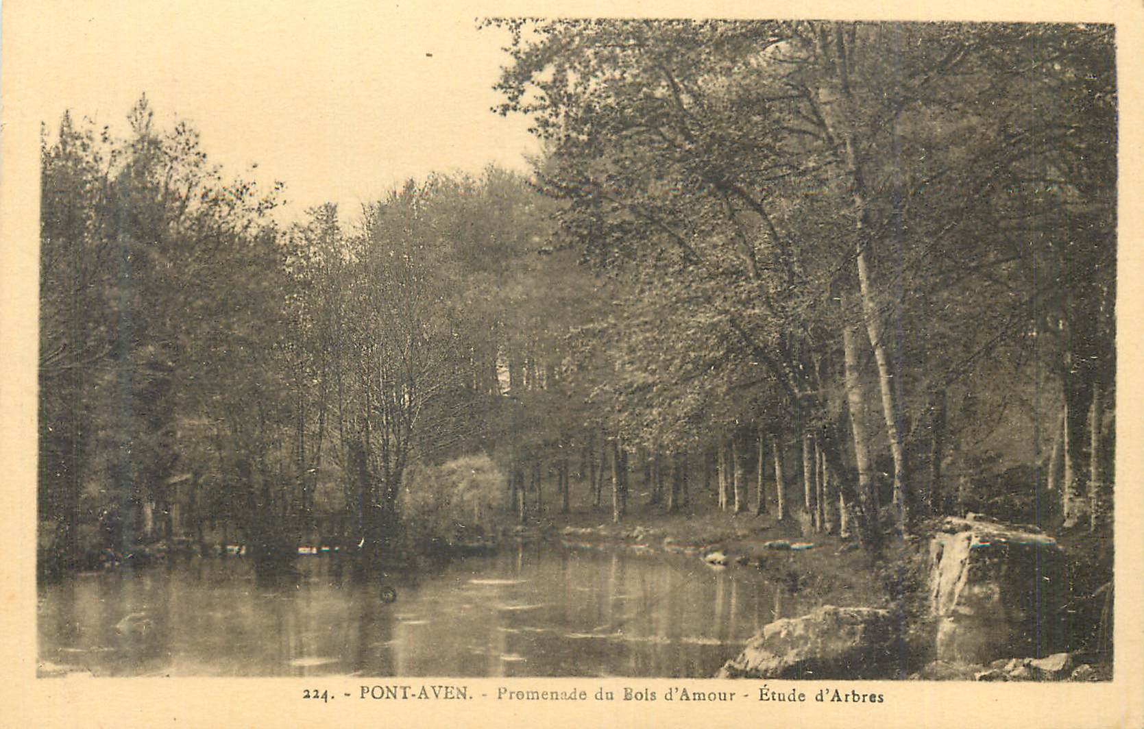 CPA Pont Aven Promenade du Bois d'Amour Etude d'Arbres