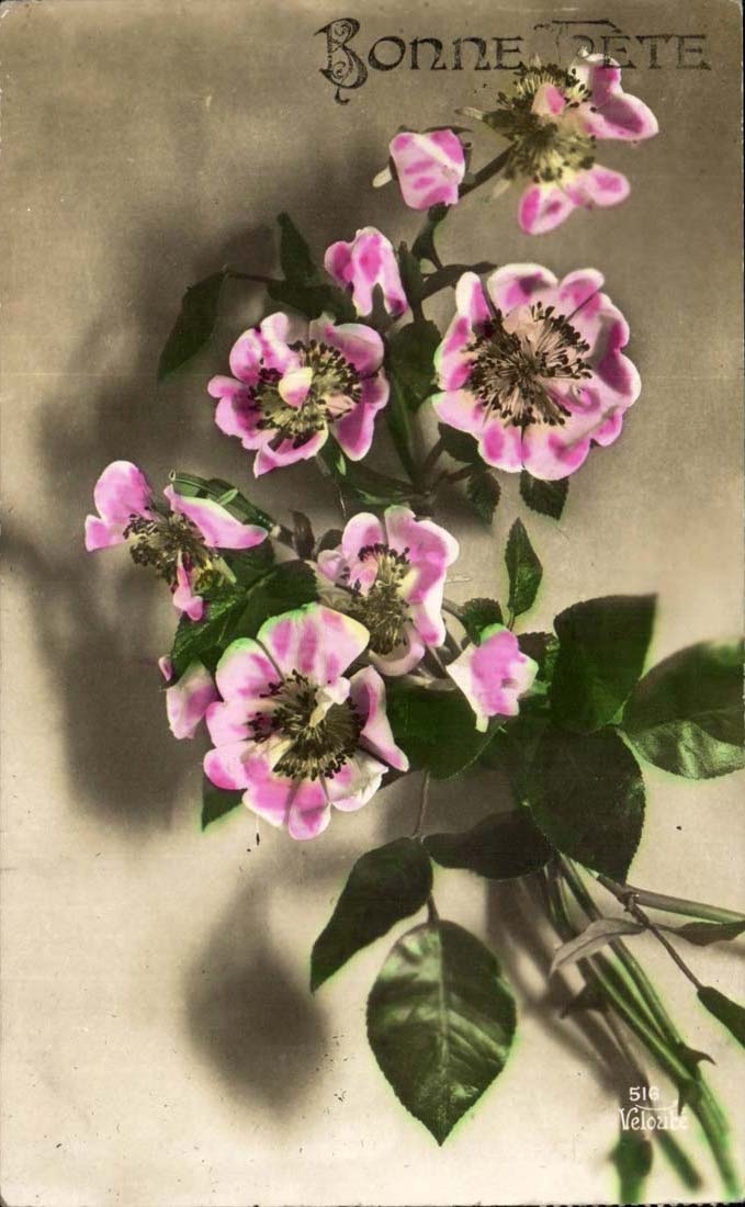 CPA Fantaisie Bonne fete (fleurs)