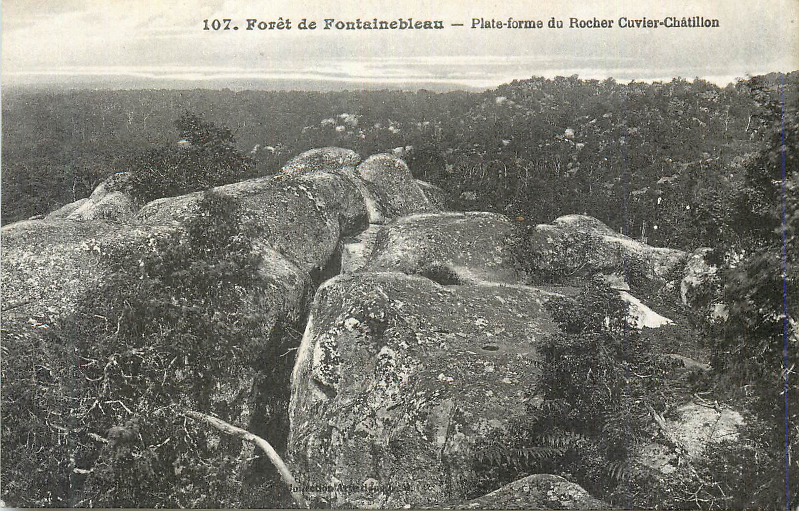 Forêt de Fontainebleau — Plate-forme du Rocher Cuvier-Châtillon — Collection Artiste