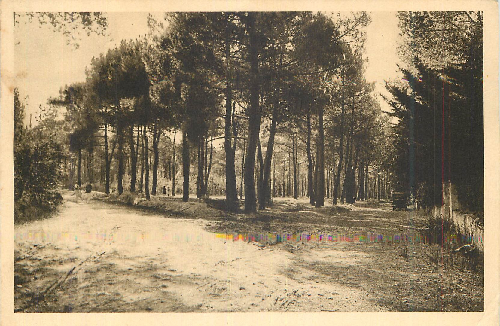 CPA Le Poitou Pittoresque Sion sur l Ocean Vendee L Orce du bois Au rond point de la route de St Hilaire de Riez