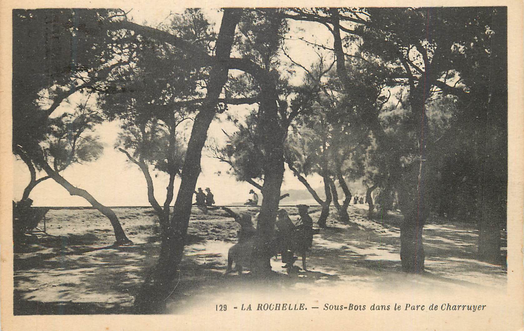 Sous-Bois dans le Parc de Charruyer — LA ROCHELLE — n°129