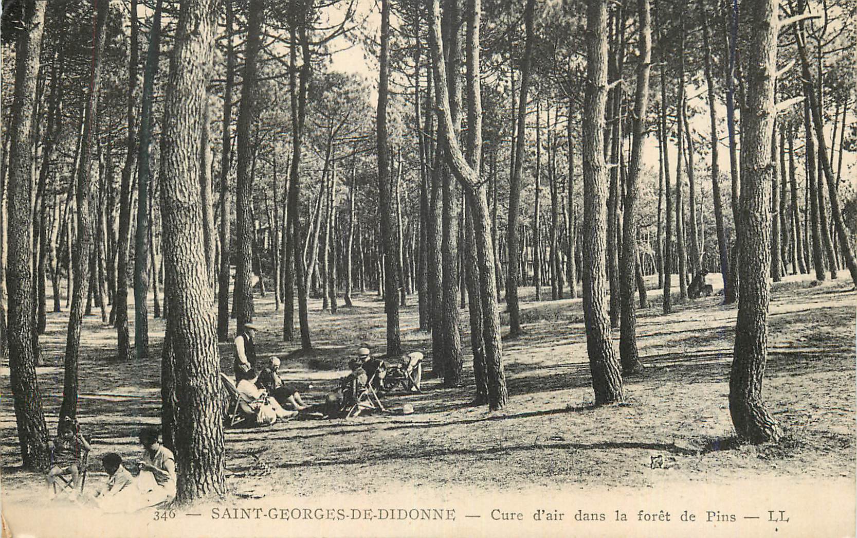 CPA Saint Georges De Didonne Cure d air dans la foret de Pins