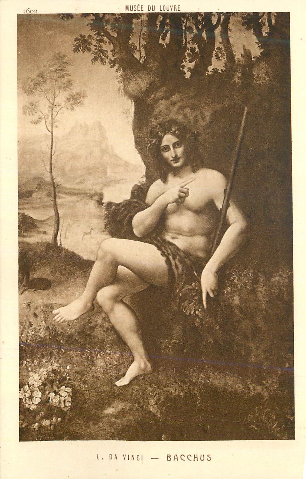 CPA L Da Vinci Bacchus