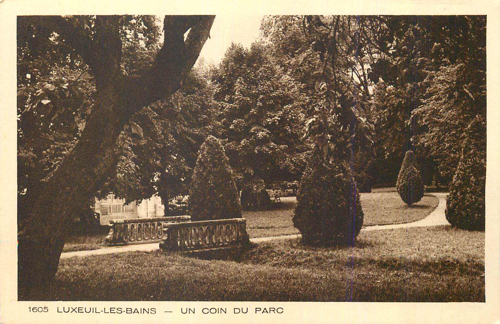 CPA Luxeuil les Bains Un Coin du Parc