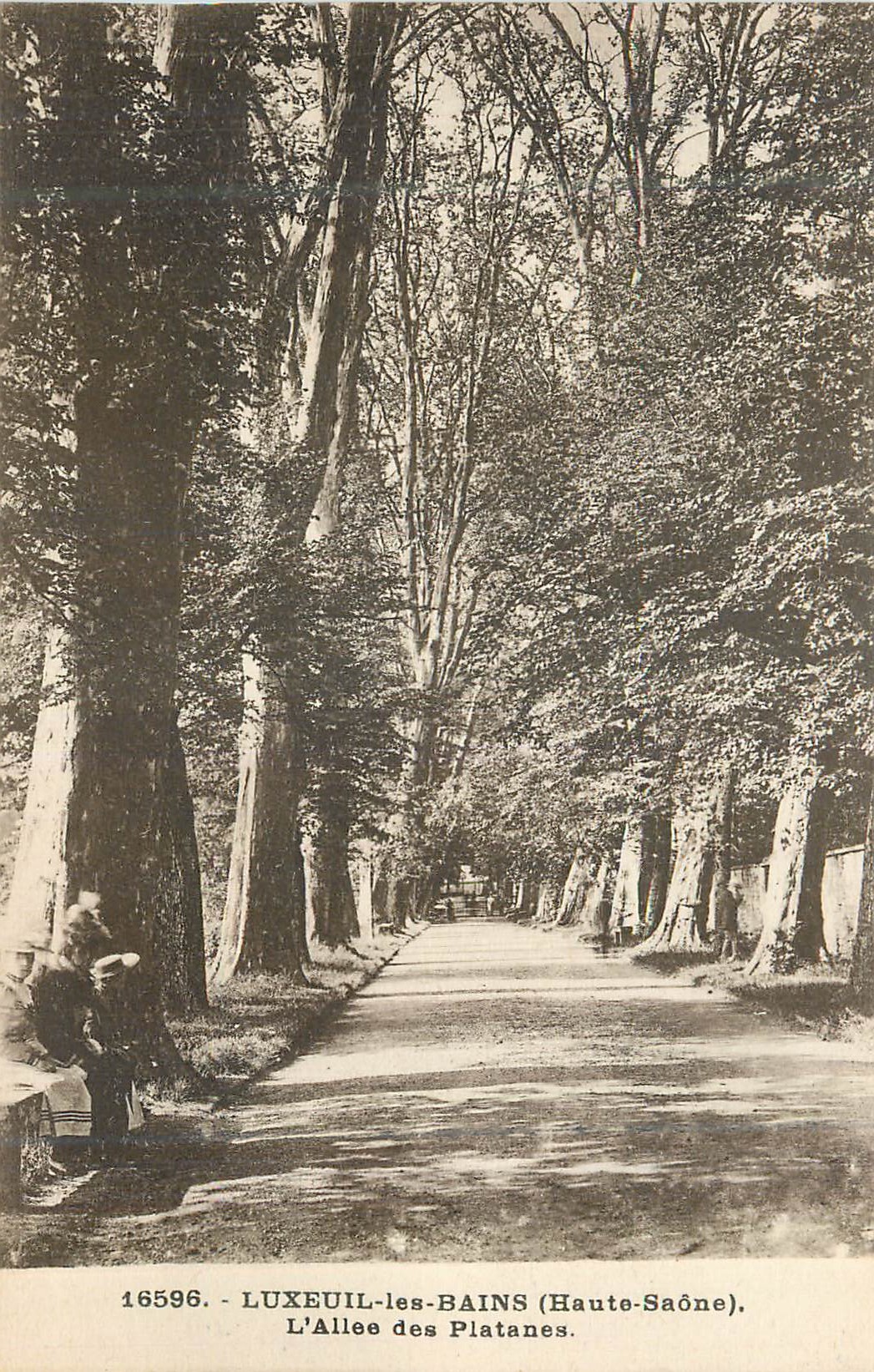 CPA Luxeuil les Bains Haute Saone L Allee des Platanes