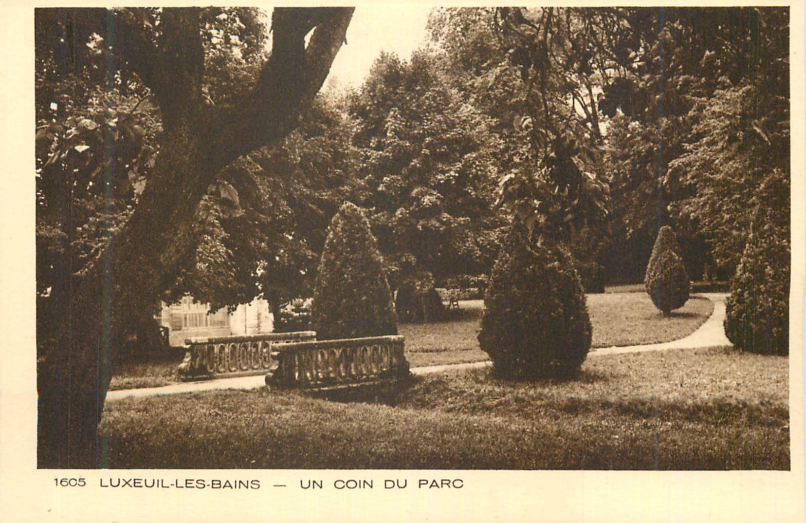 CPA Luxeuil les Bains Un coin du Parc
