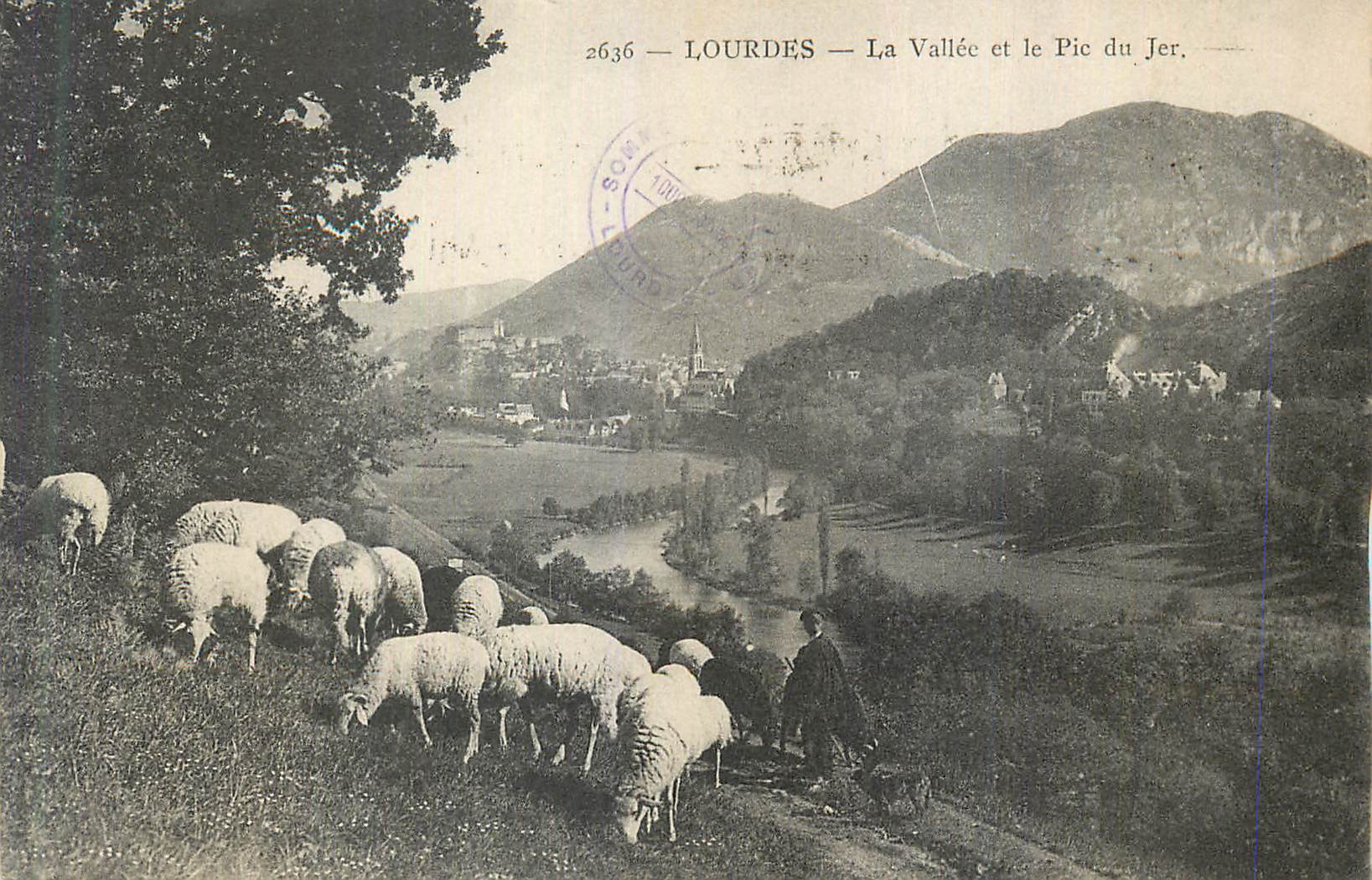 CPA Lourdes La Vallee et le Pic du Jer Moutons