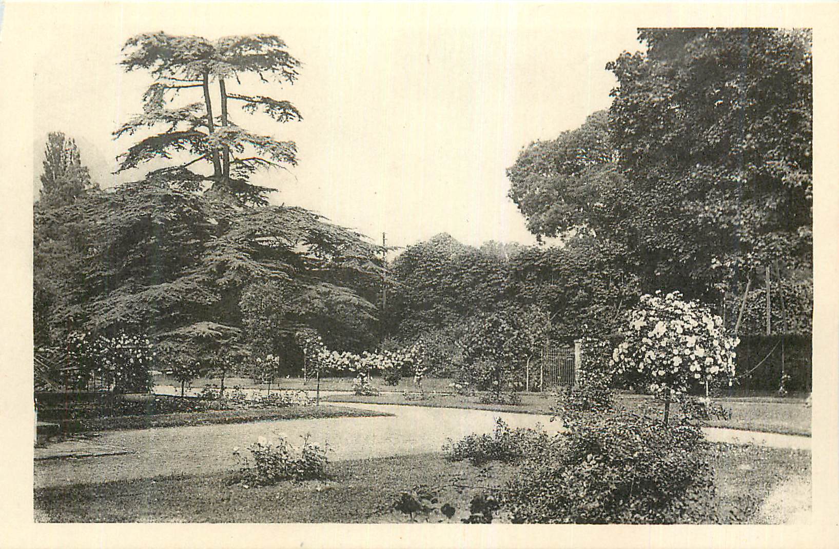 CPA Chateau de Malmaison Roseraie et Cedre de Marengo