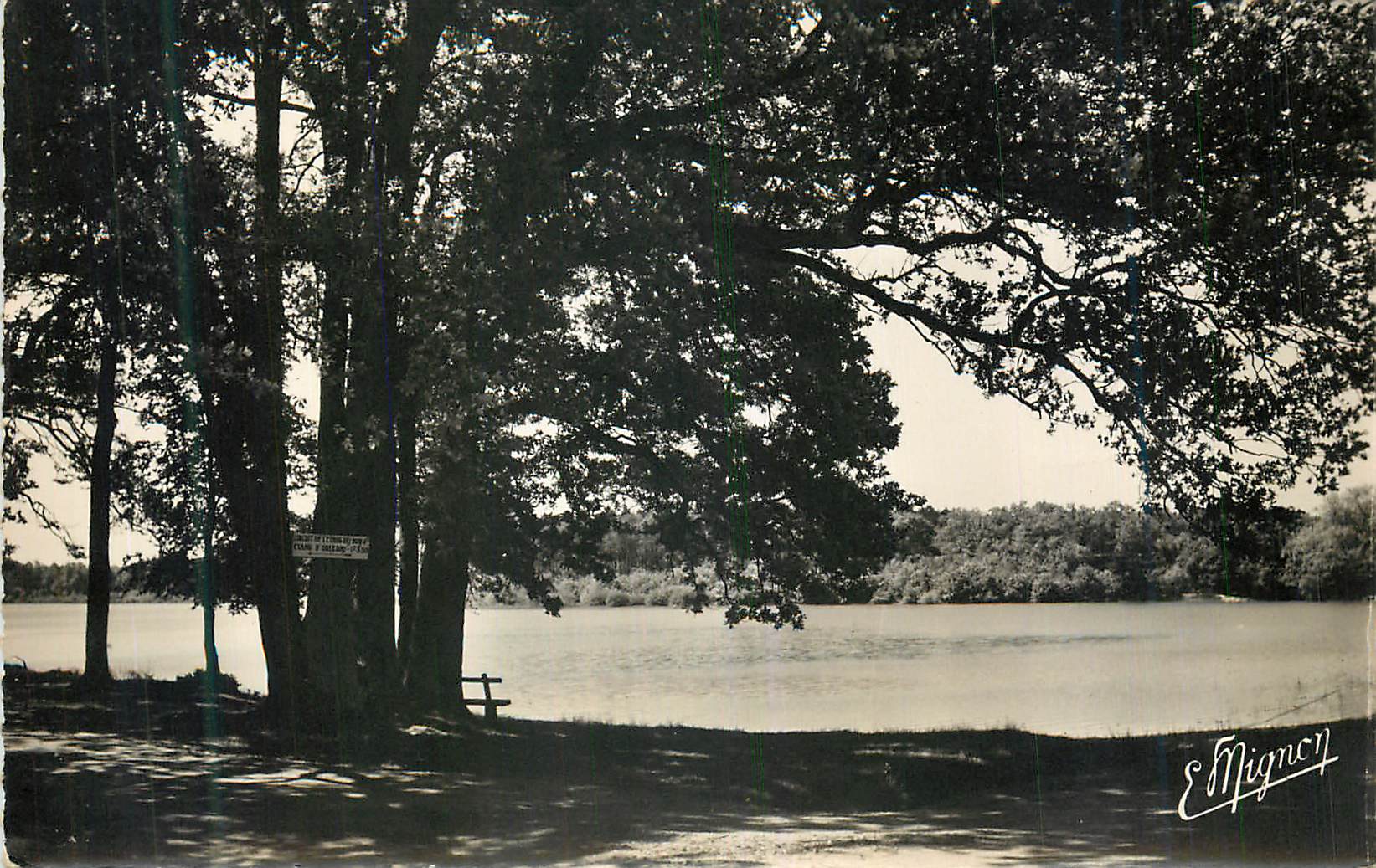 CPM Lorris Loiret L Etang des Bois