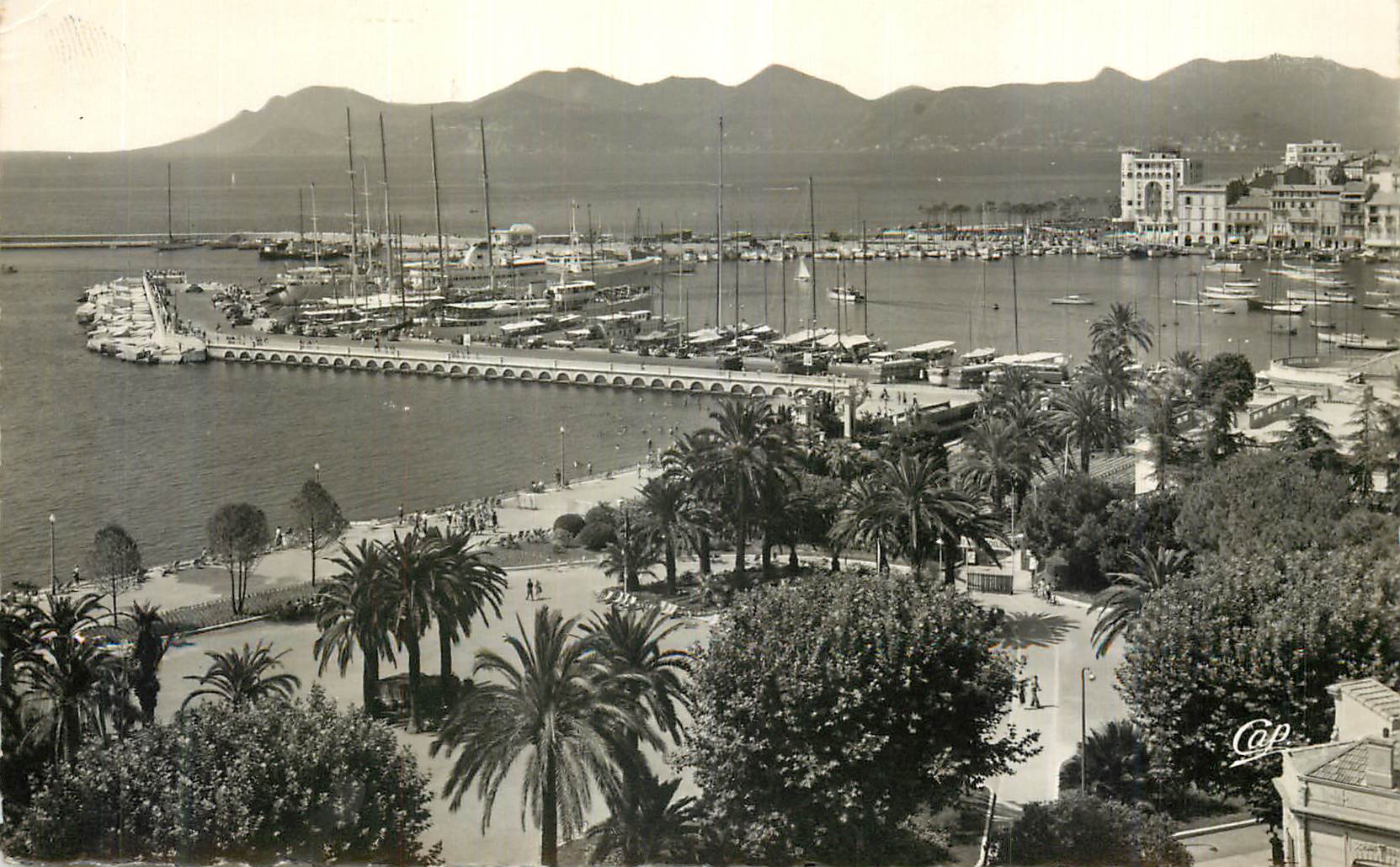 CPM Cannes Le Jardin Public le port et l Esteret Bateaux