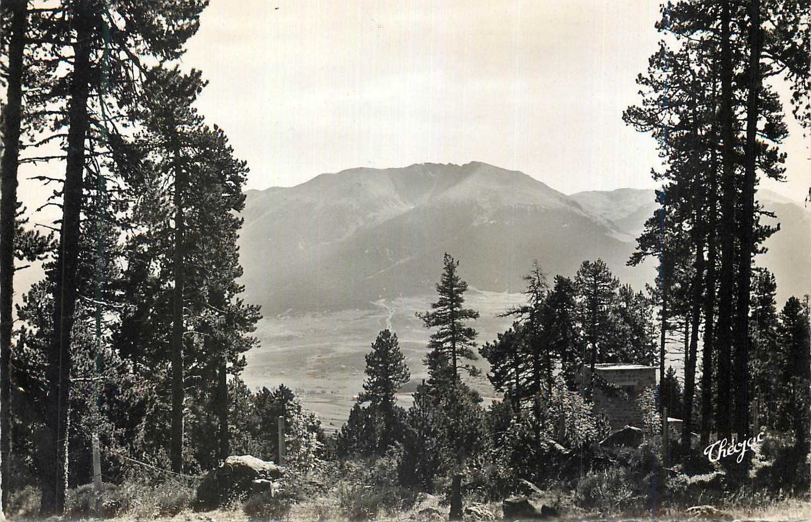 CPM Pyrenees Orientalis La Cerdagne Francaise Le Cambre d Ase vu de la Foret entre Mont Louis et Font Romeu