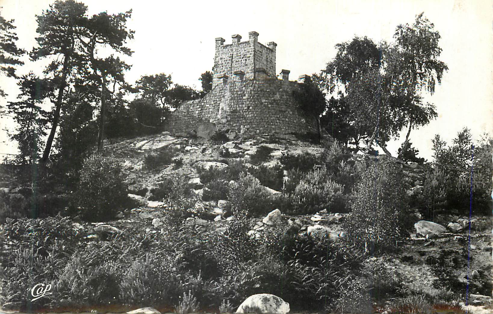 Château fort — sur rochers et pins — éditeur Cap
