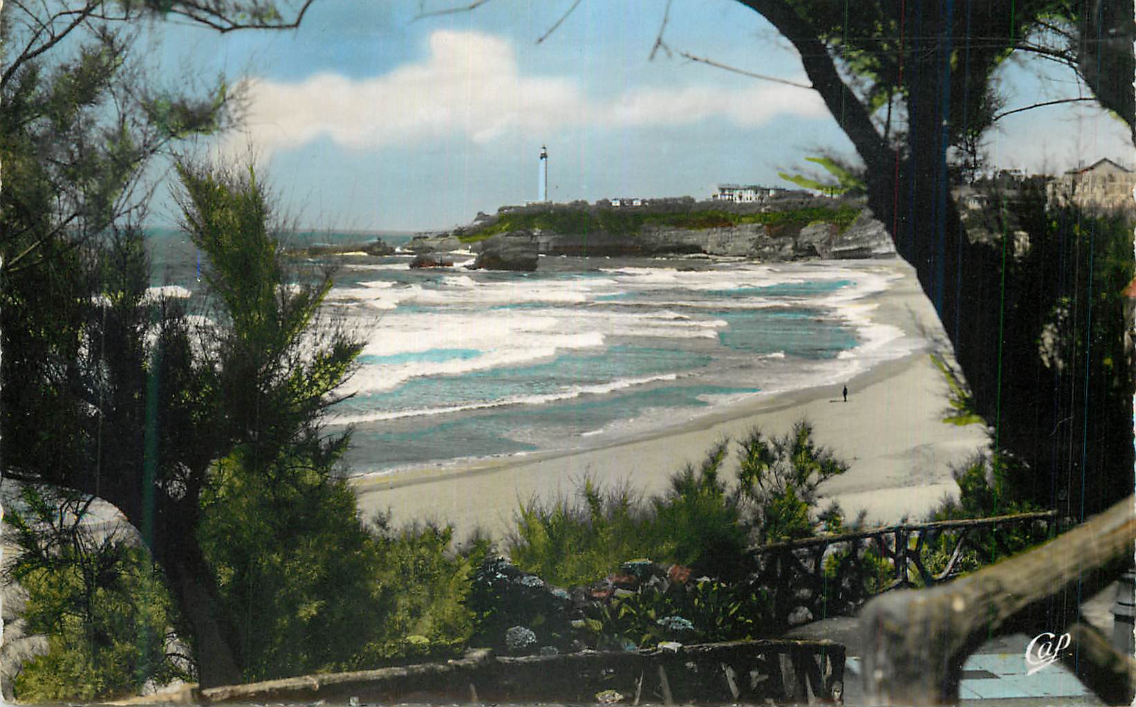 CPM Biarritz Le Phare vu a travers les Tamaris