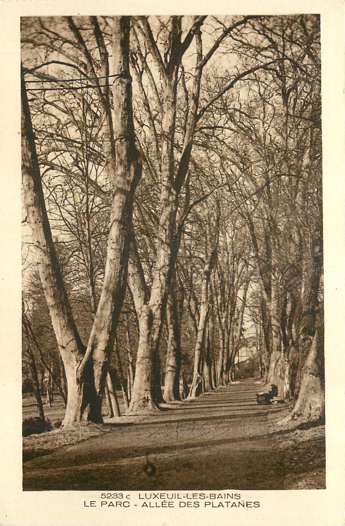 CPA Luxeuil les Bains Le Parc Allee des Platanes