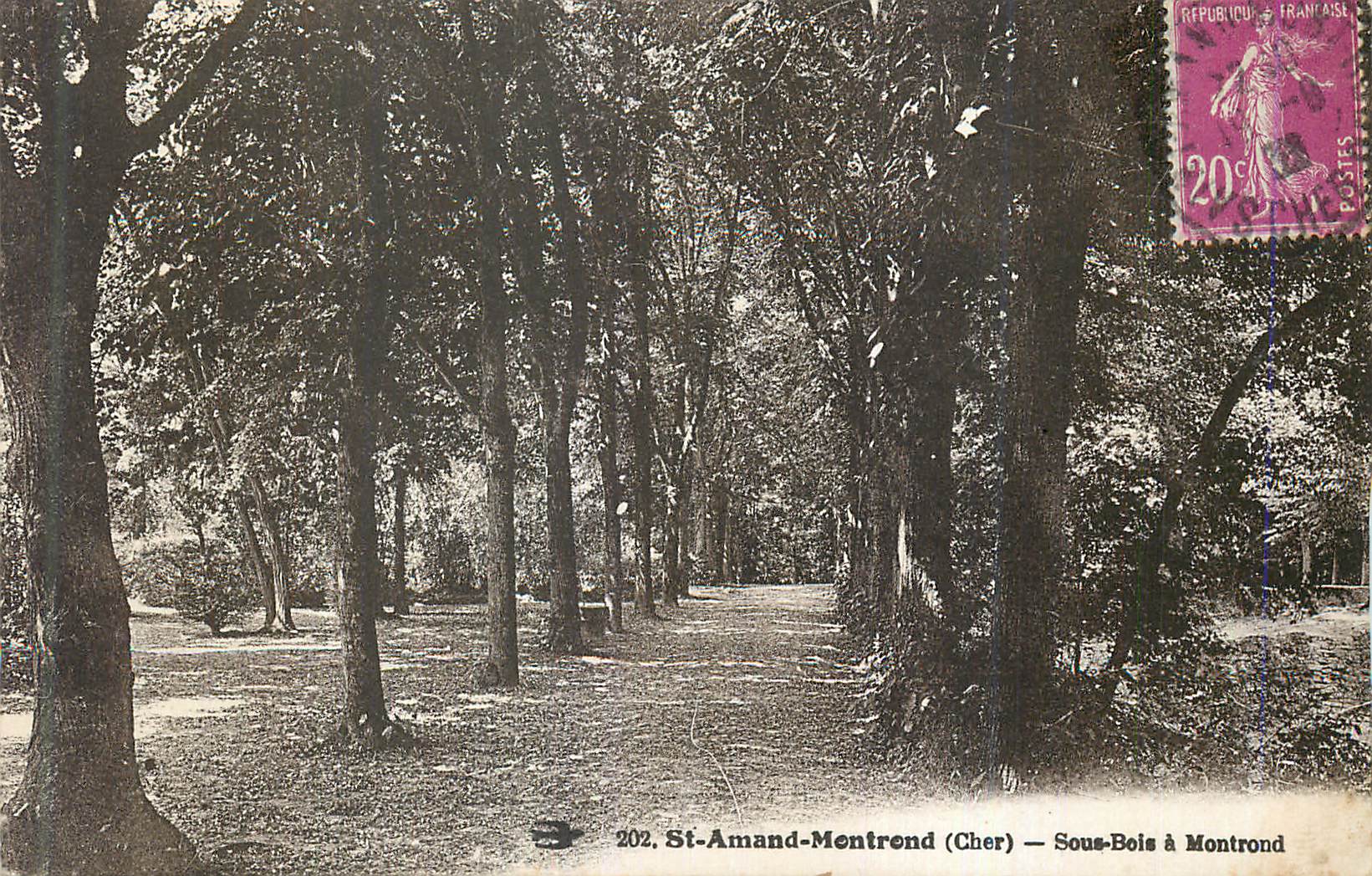 Sous-Bois à Montrond — St-Amand-Mentron (Cher) — 202