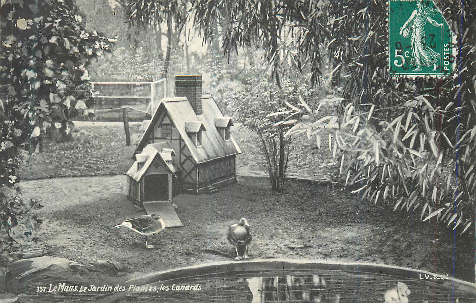 CPA Le Mans Le Jardin des Plantes les Canards