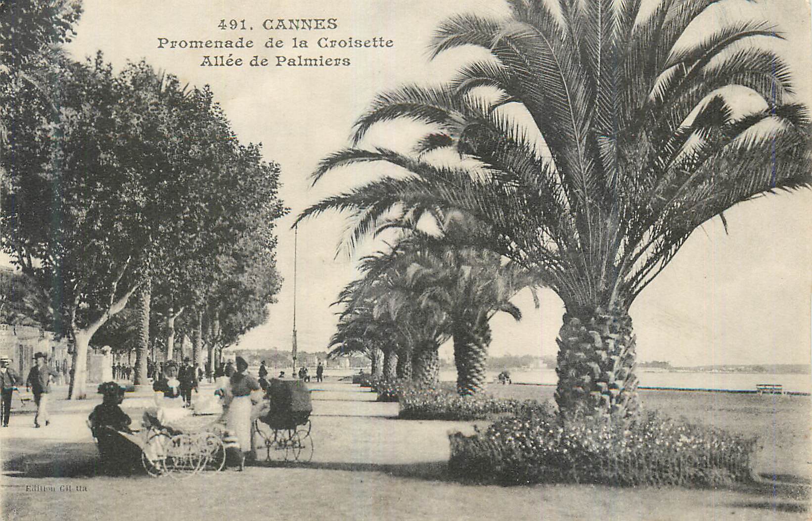 CPA Cannes Promenade de la Croisette Allee de Palmiers