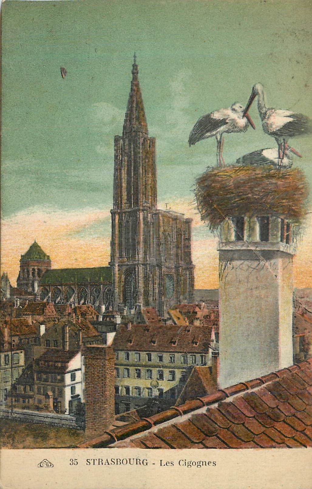 CPA Strasbourg Les Cigognes