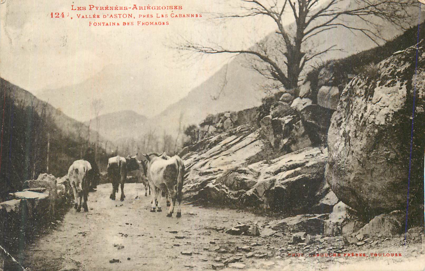 CPA Les Pyrenees Ariegeoises Vallee d Aston Pres les Cabannes Fontaine des Fromages Vaches