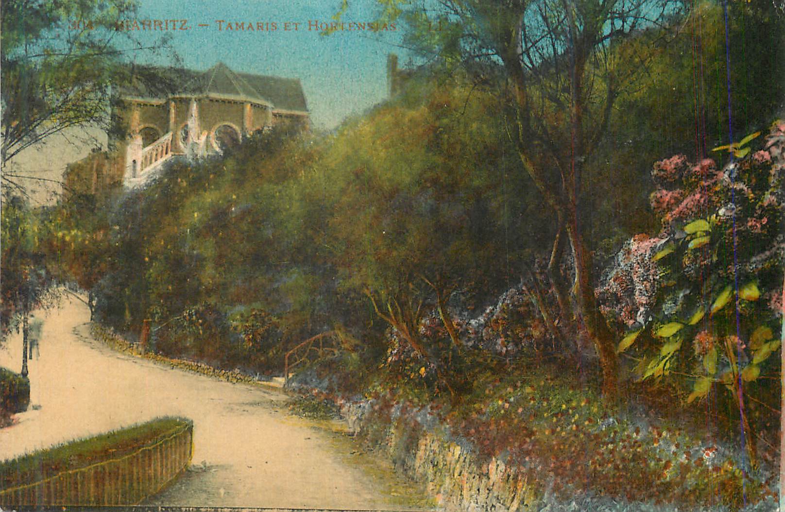CPA Biarritz Tamaris et hortensias