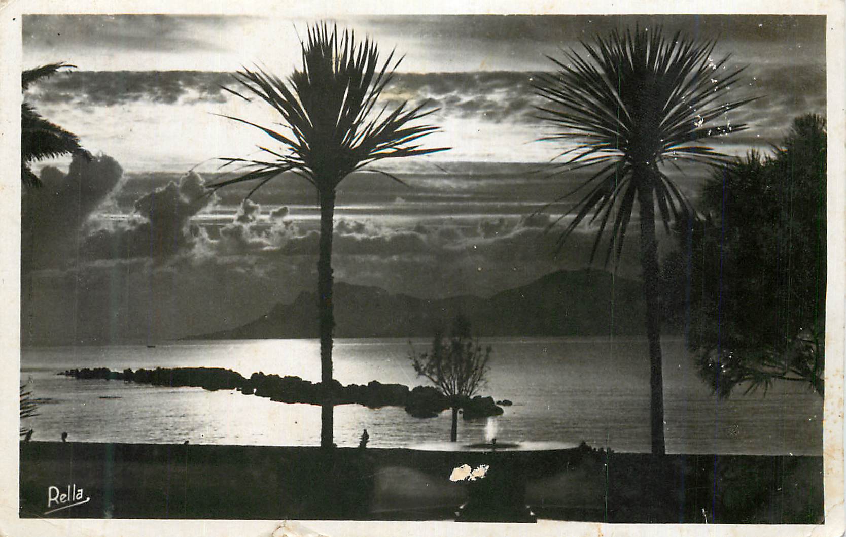 CPM Cannes Coucher de Soleil au Parc Albert Ier