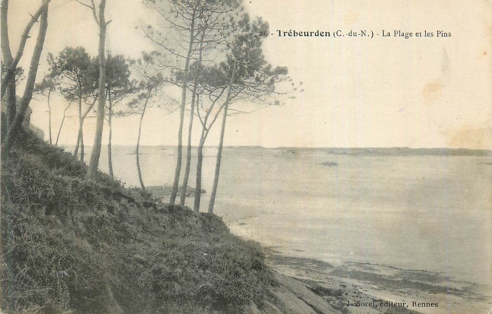 CPA Trebeurden (C du N) La Plage et les Pins