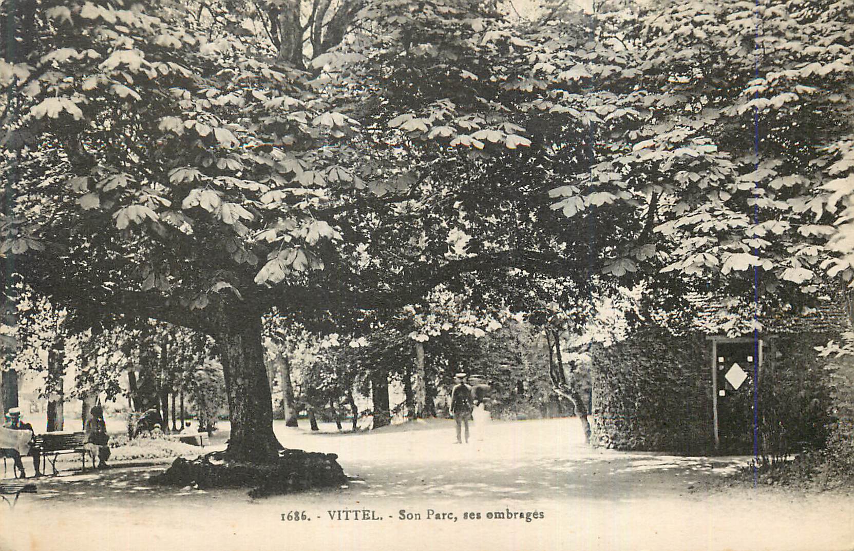 CPA Vittel Son Parc ses Ombrages