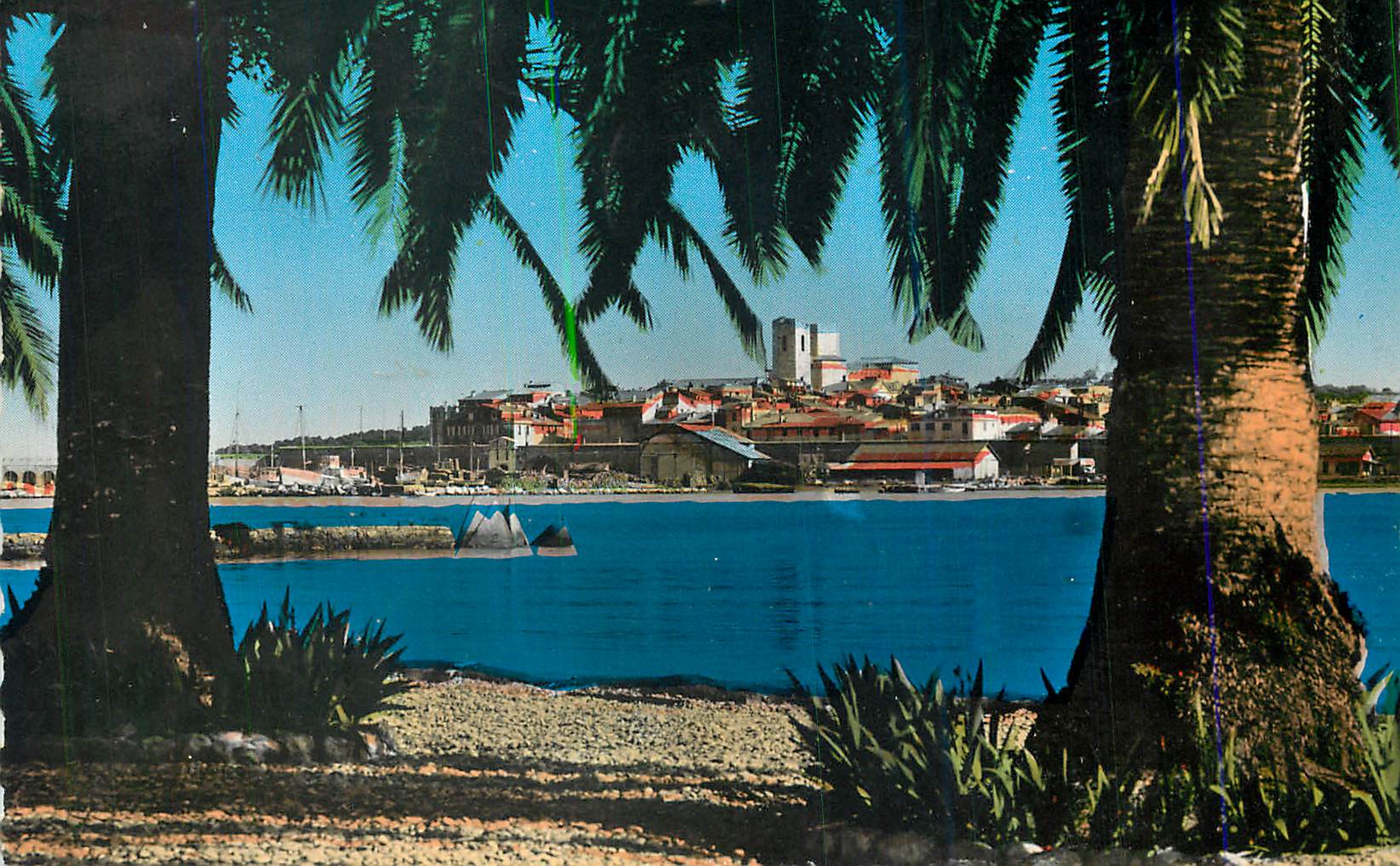 CPM Antibes Echappee sur la Vieille Ville a Travers les Palmiers