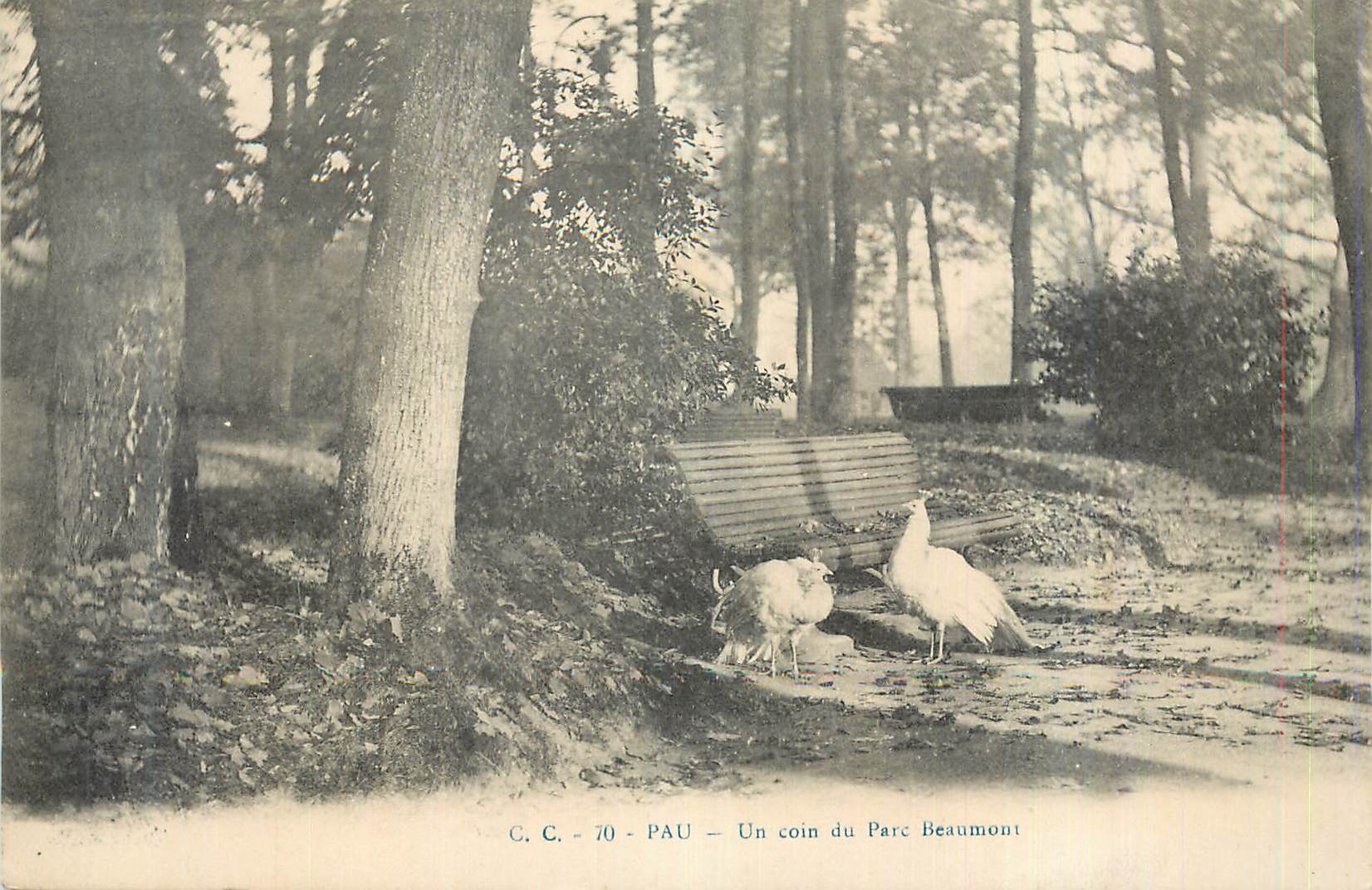 CPA Pau Un Coin du Parc Beaumont