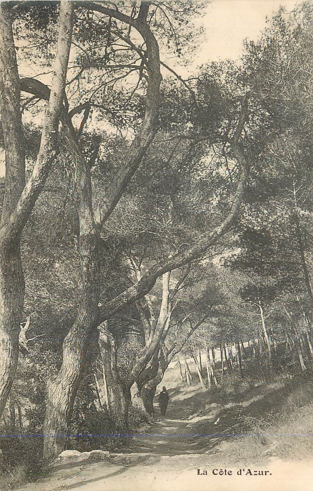 CPA La Cote d'Azur