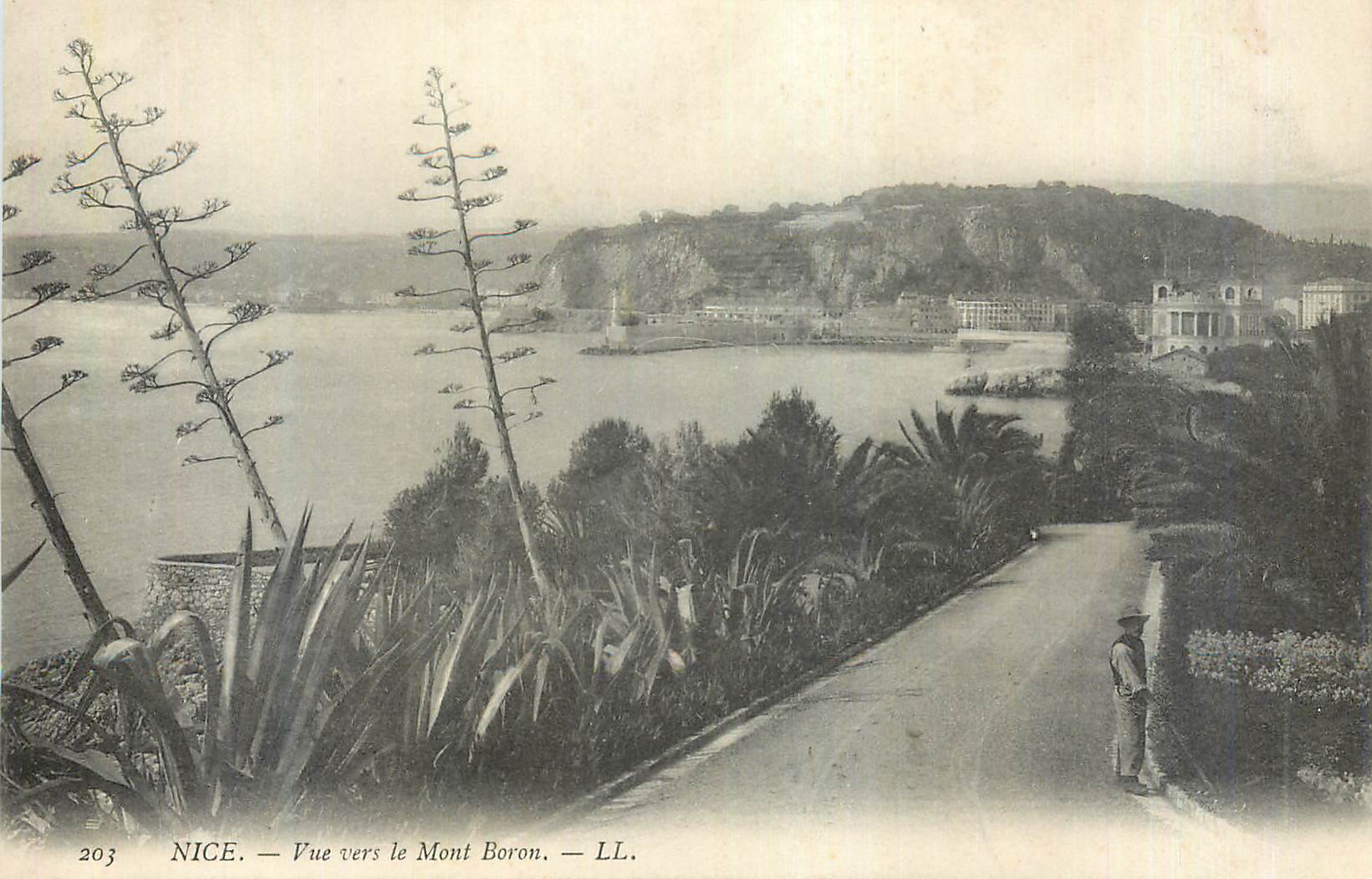 CPA Nice Vue vers le Mont Boron