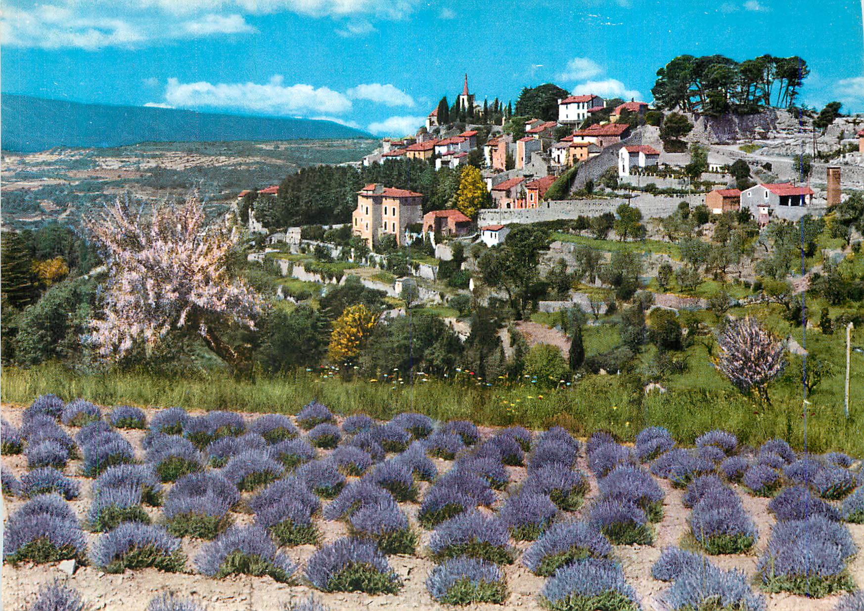 Village perché en Provence — champs de lavande en premier plan — éditeur non identifiable
