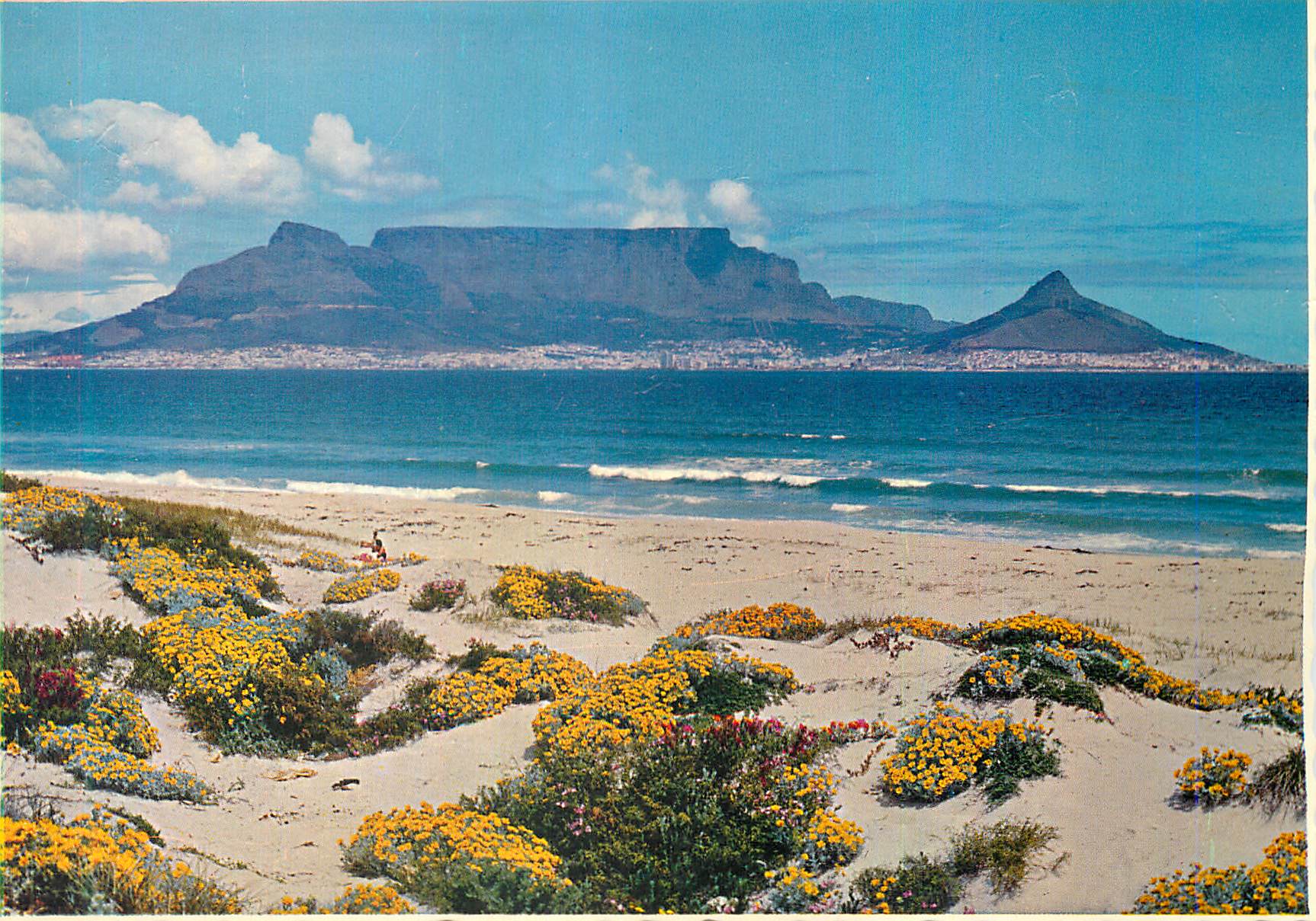 CPM Blouberg Beach Splashed with Spring Colour