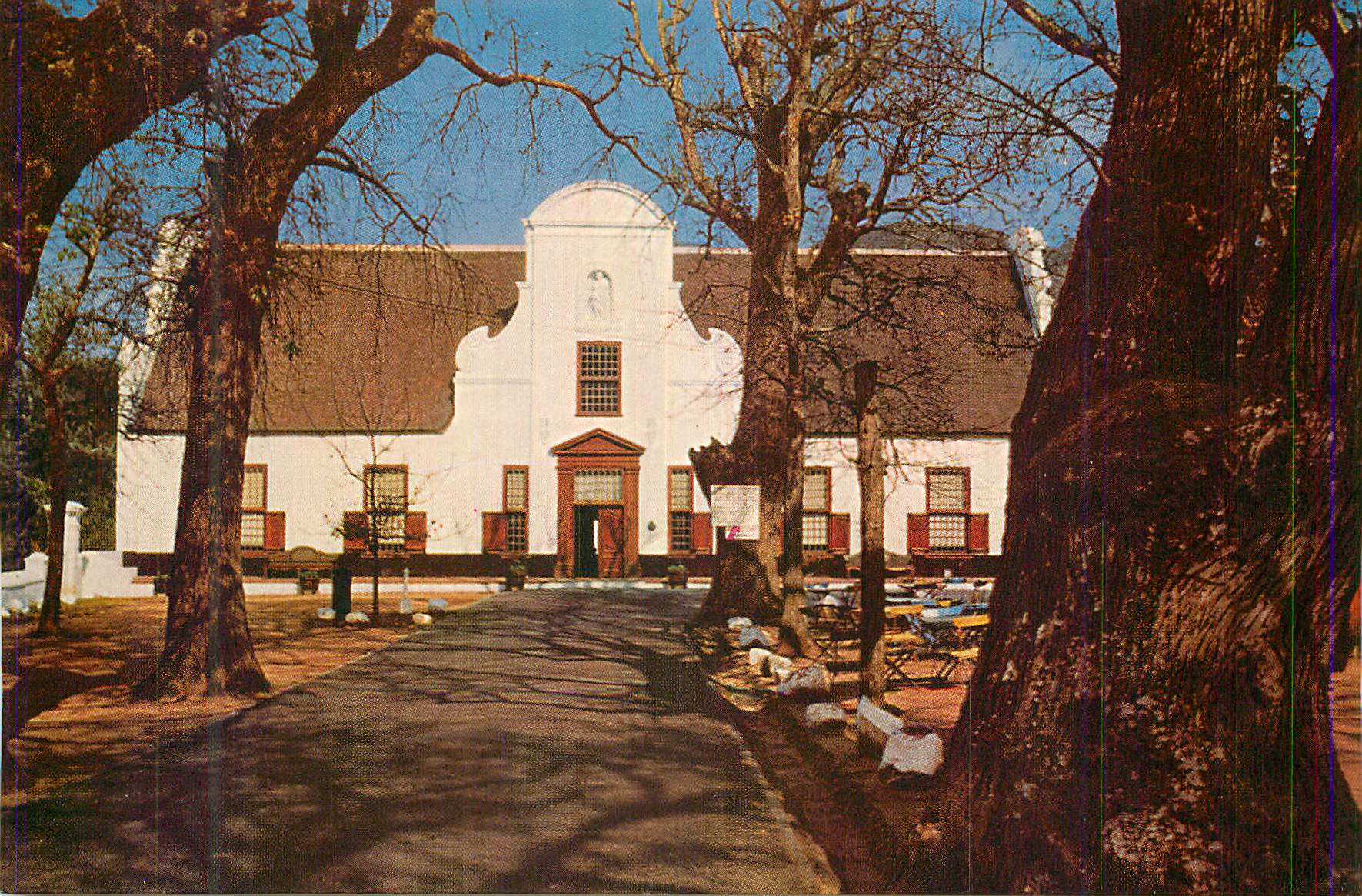 CPM A Winter Sunlit Picture of Groot Constantia Cape
