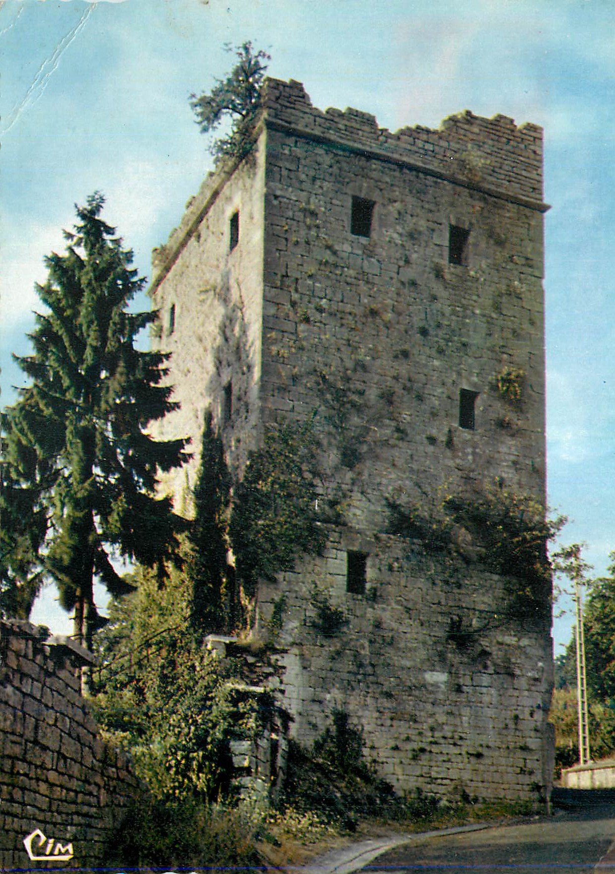 Cartolina moderna Salins les Bains (Jura) La Tour Carree