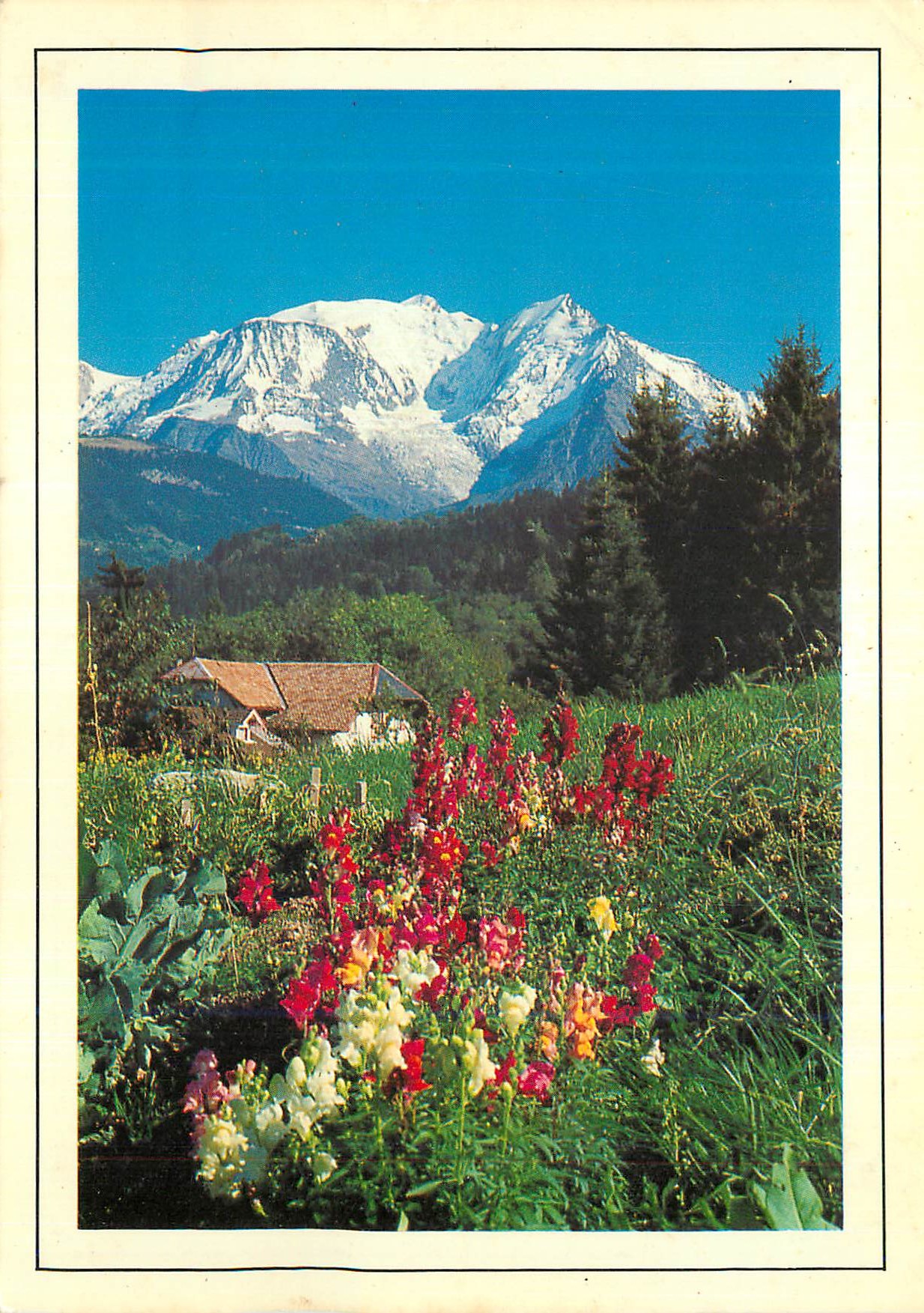 CPM Savoie Fleurs