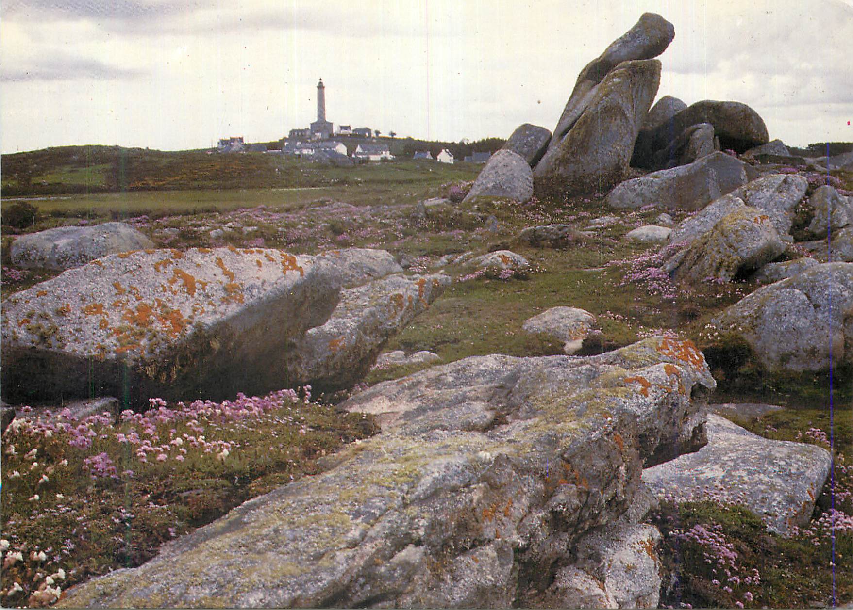 Phare de Ploumanac'h — Roches et fleurs — Éditeur non visible
