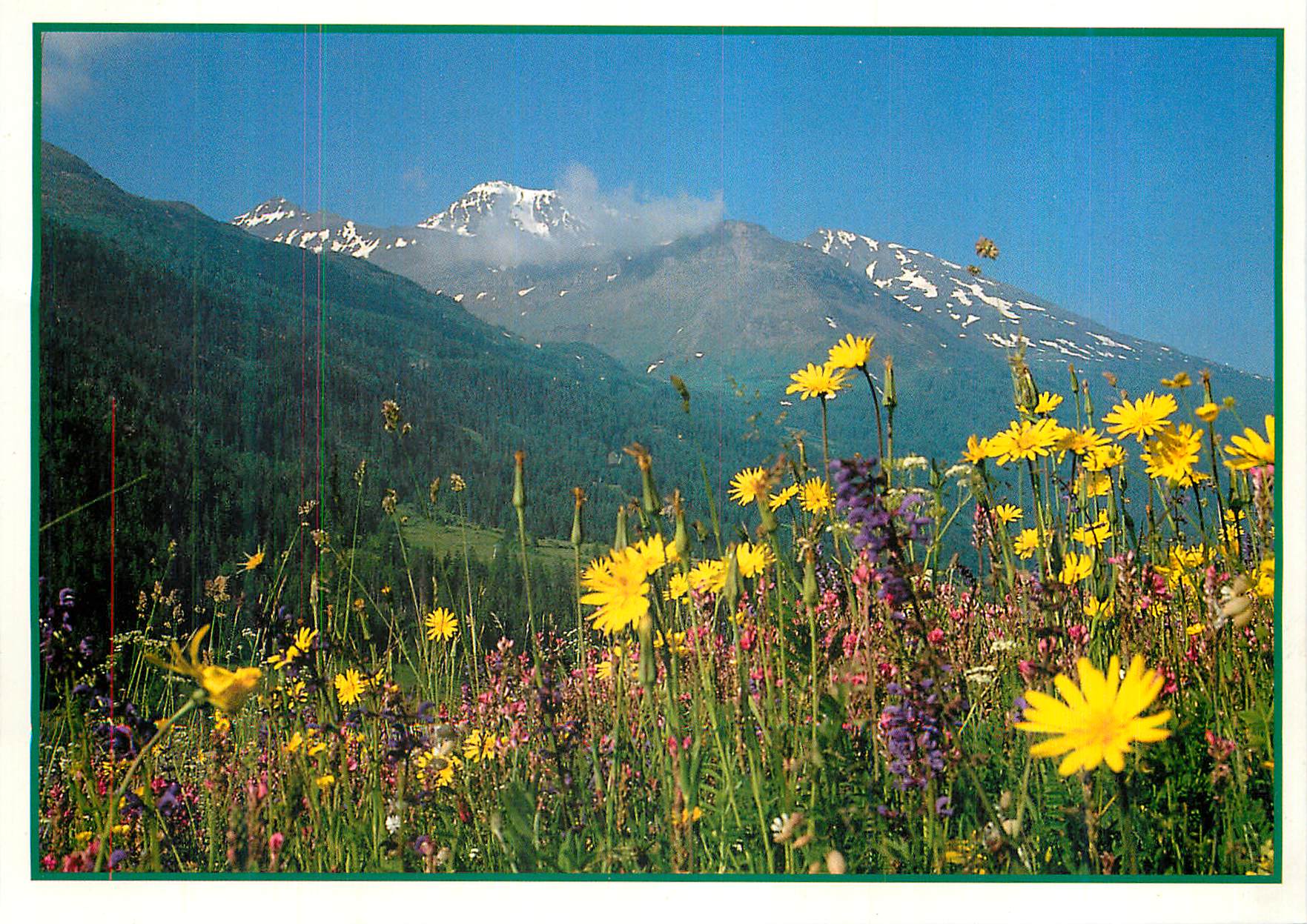 CPM Images de nos Montagnes en Ete