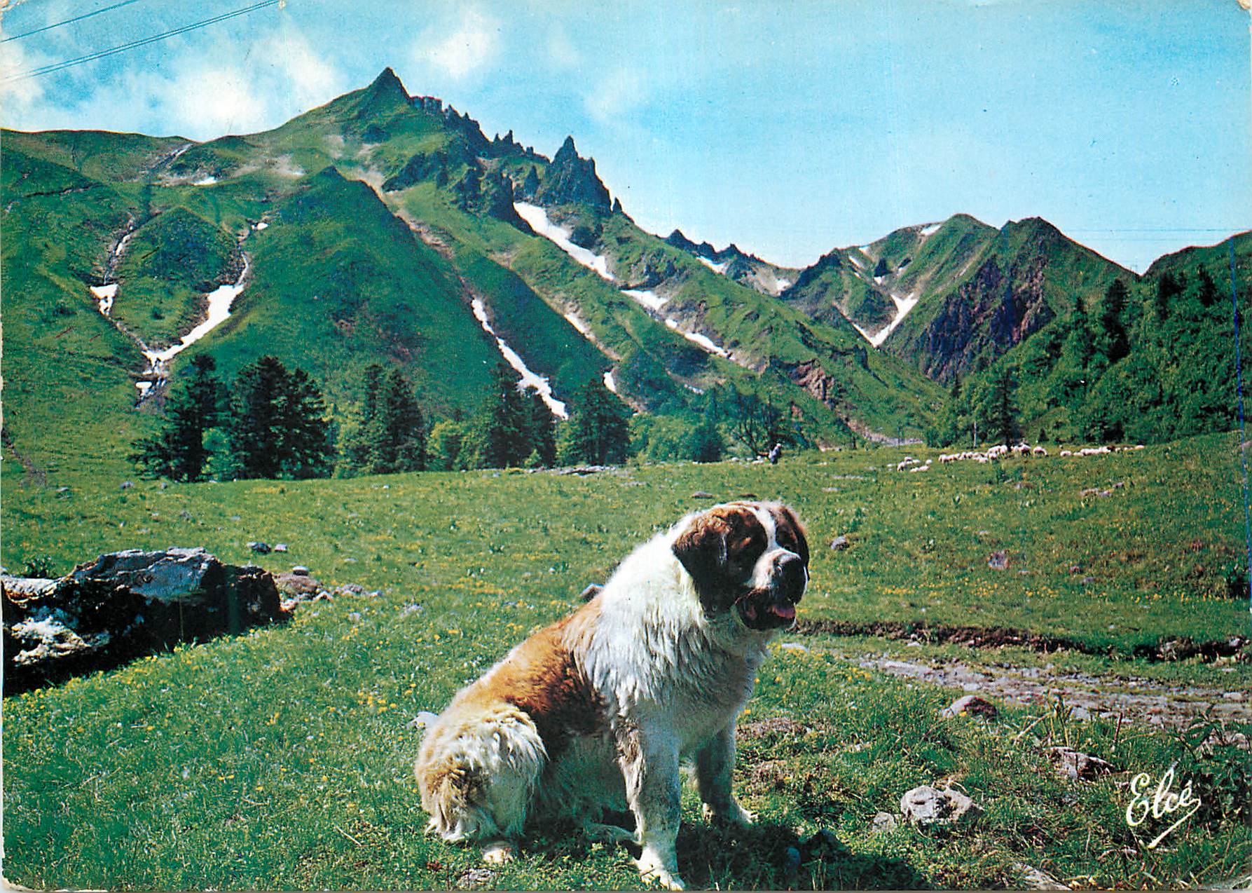 CPM Mont Dore (Puy de Dome) Le Secouriste du Sancy Au fond Le Sancy 1886 m Chien
