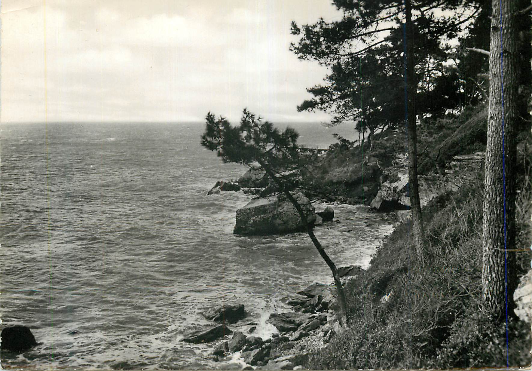 CPM Ile de Noirmoutier (Vendee) Bois de la Chaize L'Anse St Philibert par Grande Maree