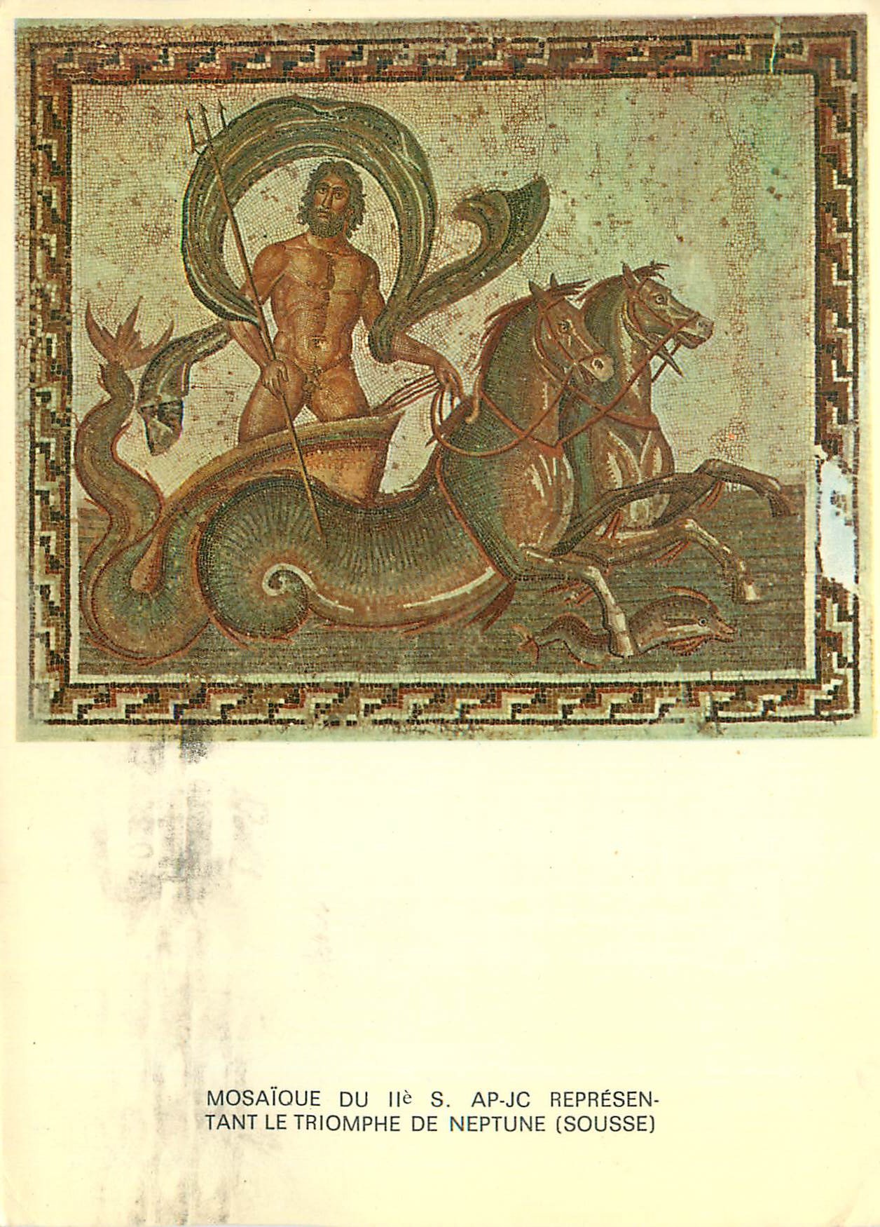 CPM Tunisie de Toujours Le Char de Neptune (Musee de Sousse)