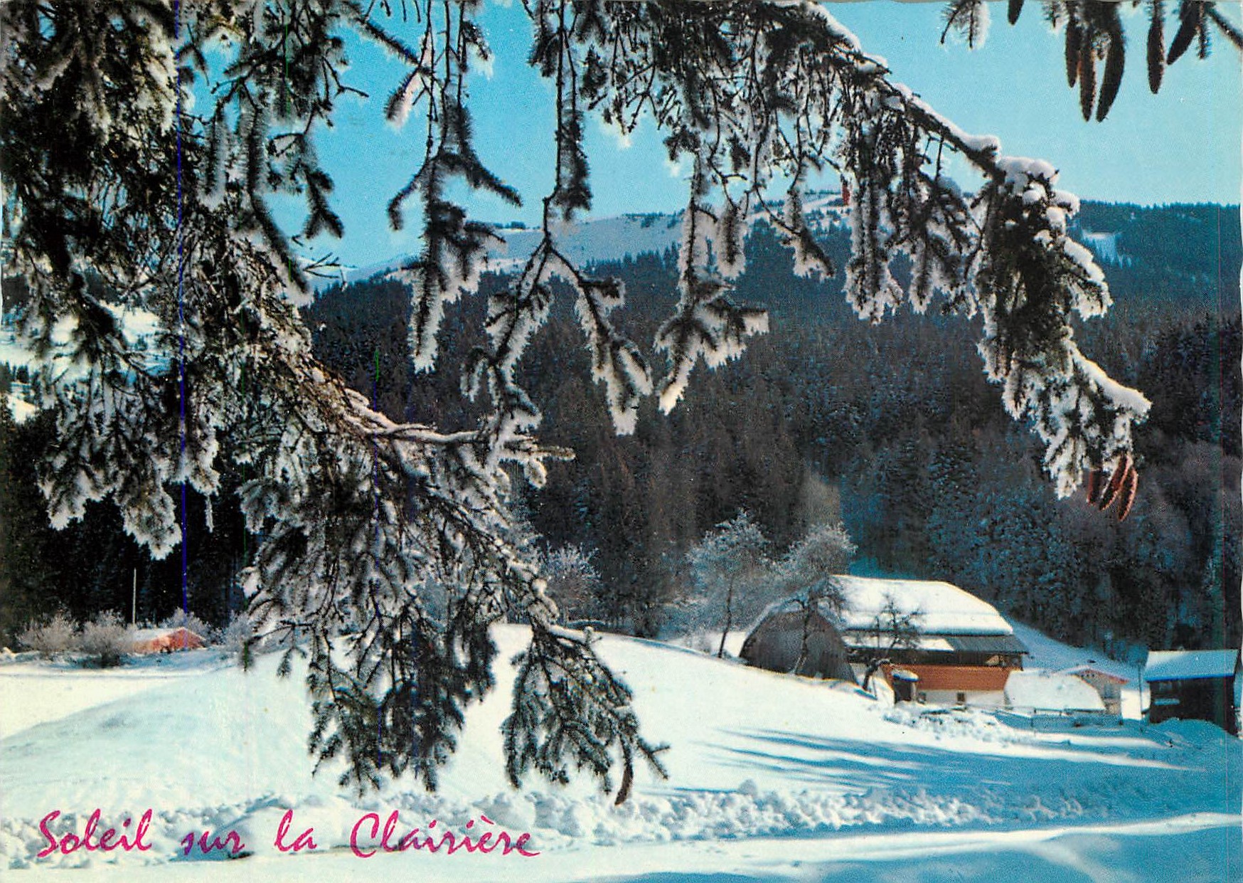 CPM Soleil sur la Clairiere