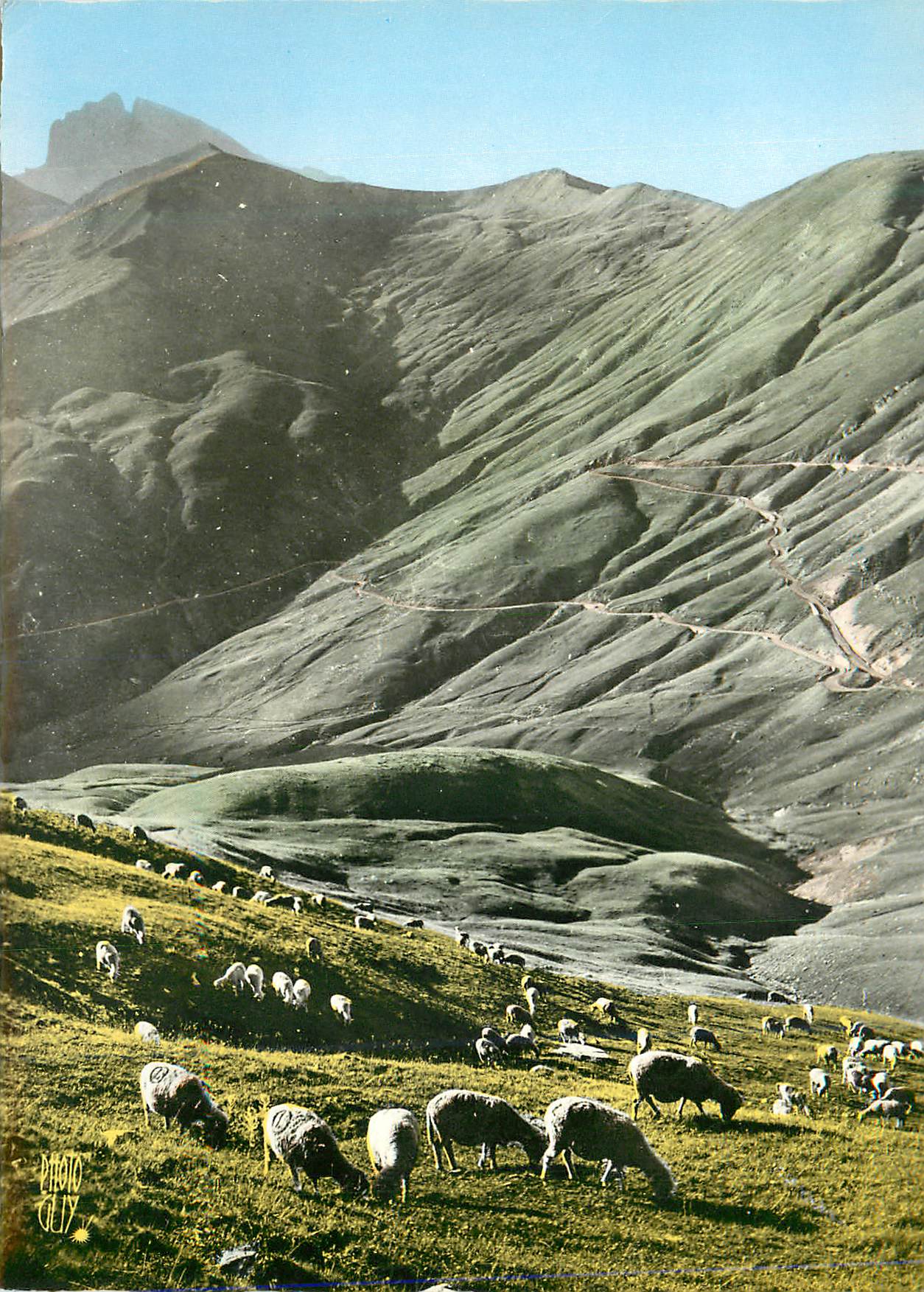 CPM Paturage au Col d'Allos (Basses Alpes) Altitude 2250 metres Moutons