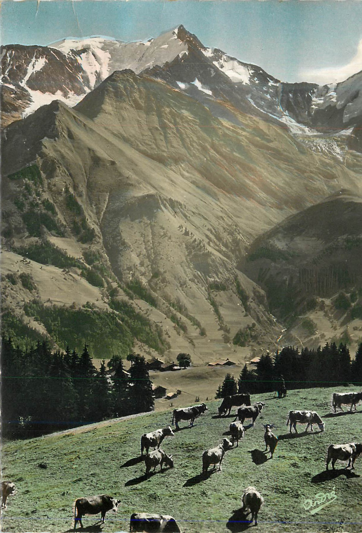 Vallée alpine avec vaches — montagnes enneigées — éditeur Orsens, n° de série non lisible