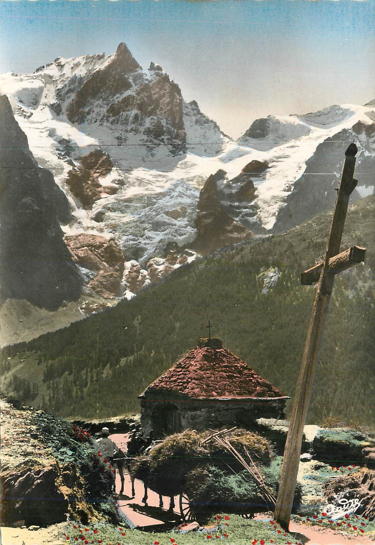 Monte Bianco — Vista panoramica — Editore: C. P. B. n° 208