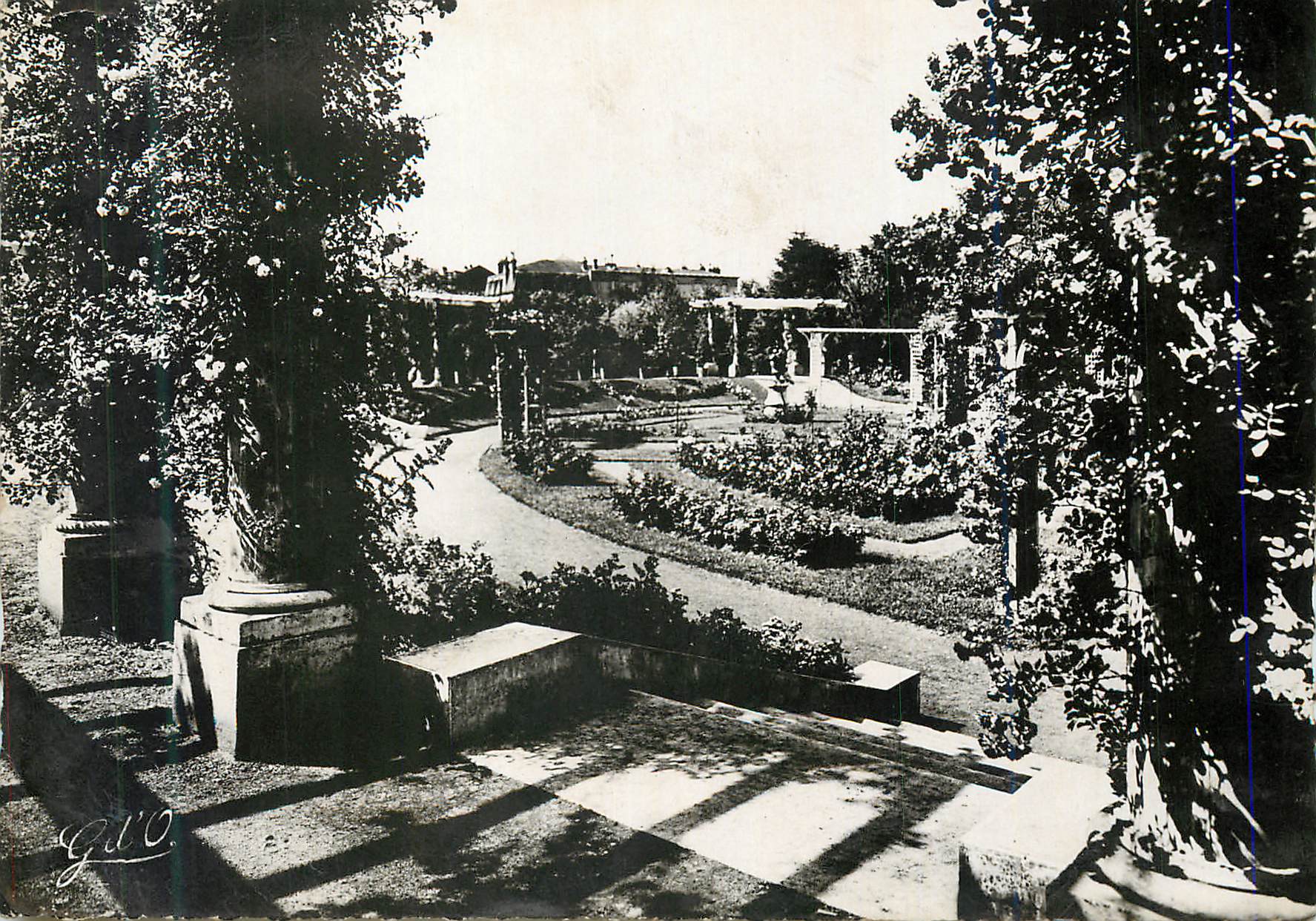 CPM Clermont Ferrand L'Auvergne Jardin des Plantes La Roseraie
