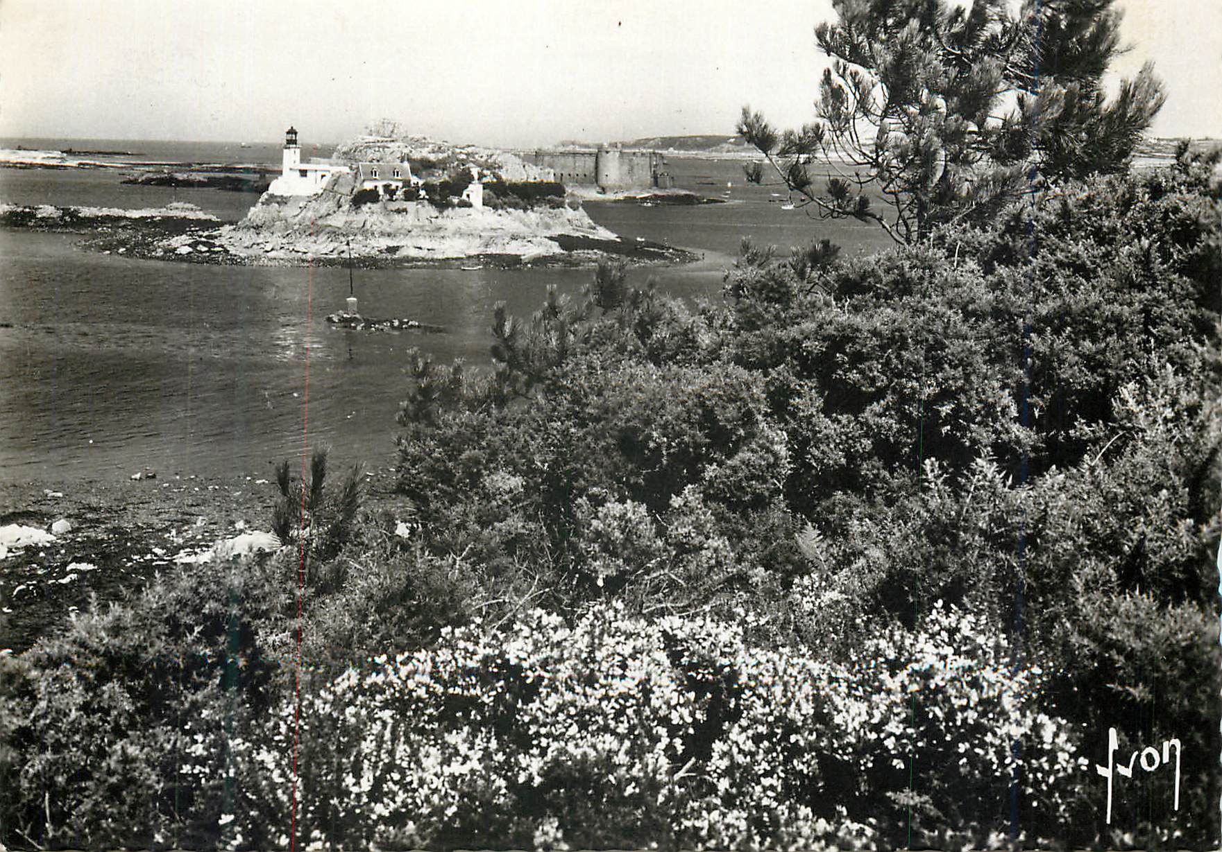 CPM Carantec (Finistere) La Perle du Nord Finistere L'Ile Louet et le Chateau du Taureau
