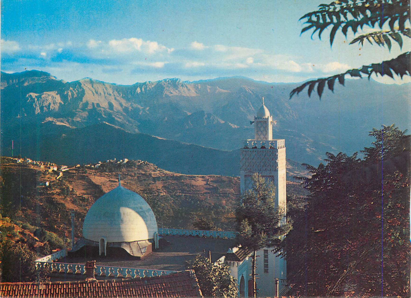 CPM Couleurs et Lumieres d'Algerie Village de Kabylie