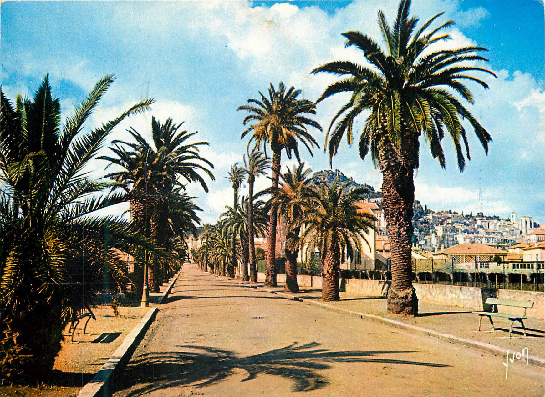 CPM Hyeres (Var) La Cote d'Azur Miracle de la nature Couleurs et Lumiere de France Les Palmiers de l'Avenue Alexis Godil