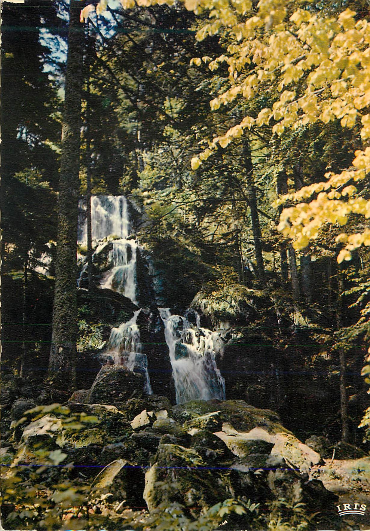 CPM Cascade de Tendon (Hauteur de la Chute 35 m) Les Vosges Pittoresques